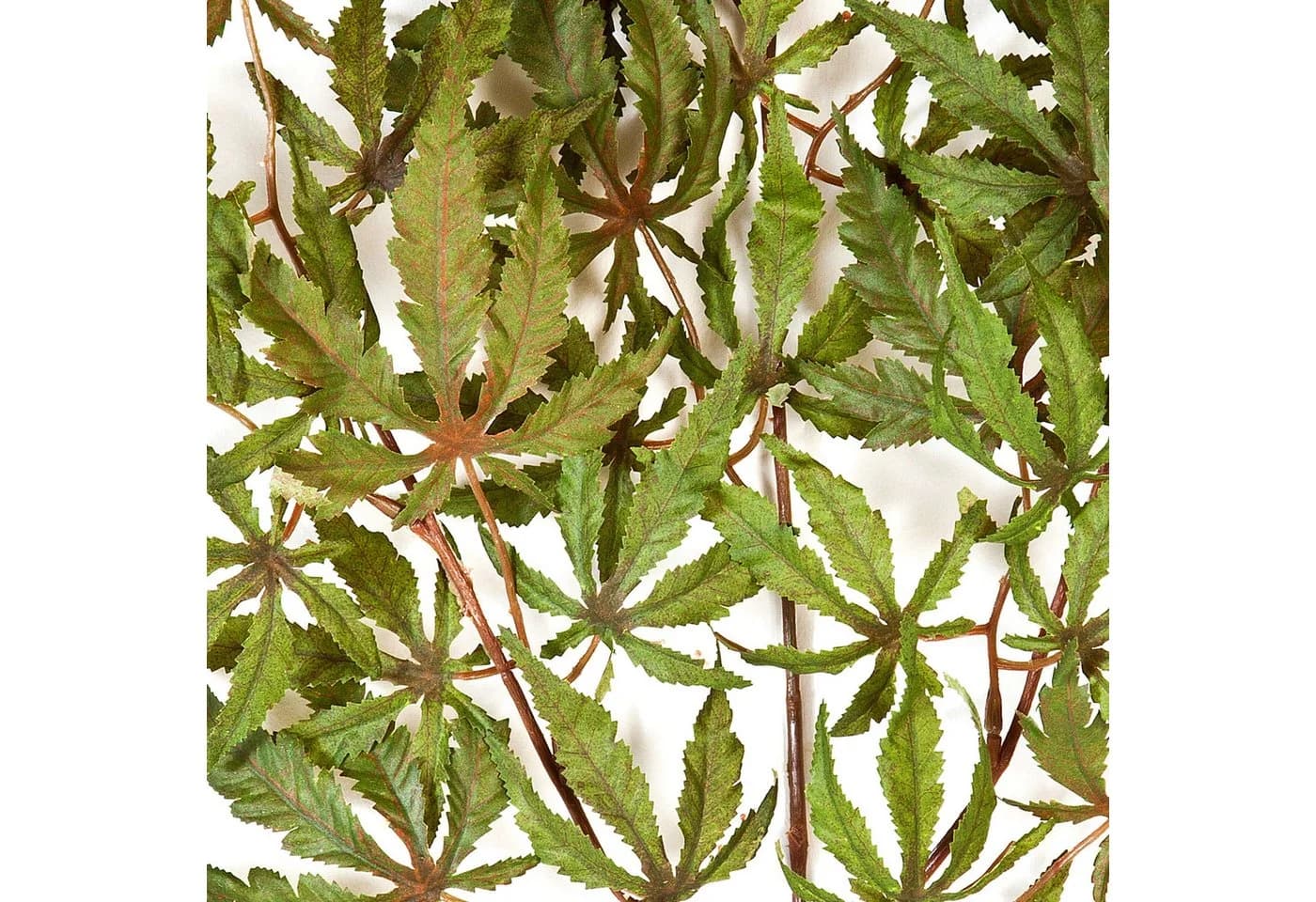 artplants Kunstzweig Japanischer Ahornzweig AKAYO Grün-Rot 60 cm