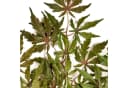 artplants Kunstzweig Japanischer Ahornzweig AKAYO Grün-Rot 60 cm Bild 3
