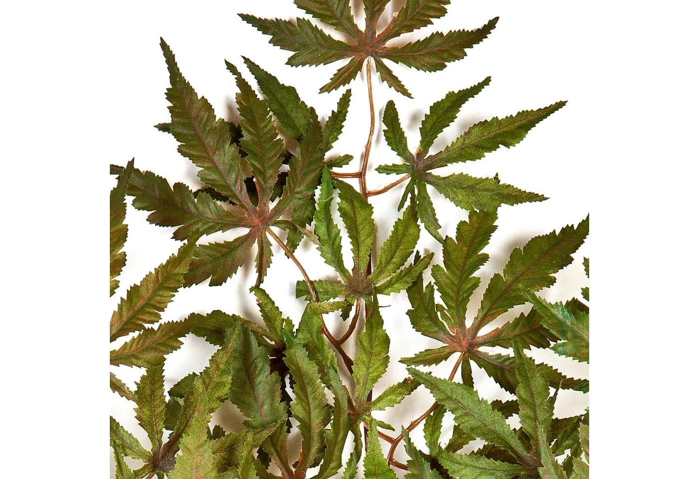 artplants Kunstzweig Japanischer Ahornzweig AKAYO Grün-Rot 60 cm - Bild 3