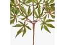 artplants Kunstzweig Japanischer Ahornzweig AKAYO Grün-Rot 60 cm Bild 4