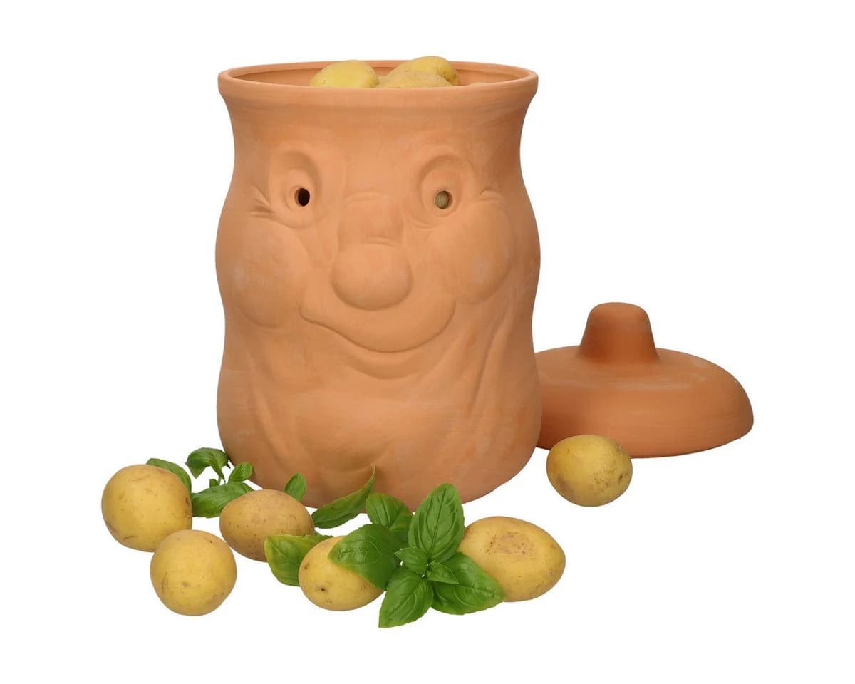 MamboCat Vorratsglas-Set 3tlg. Terrakotta Knoblauch Zwiebel Kartoffel Braun - Bild 5
