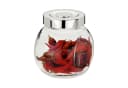 MamboCat Vorratsglas-Set 8er Rosa 200ml mit Schraubdeckel Bild 3