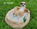 Kremers Schatzkiste Vogeltränke Erdmännchen Eddy Bunt Bild 1