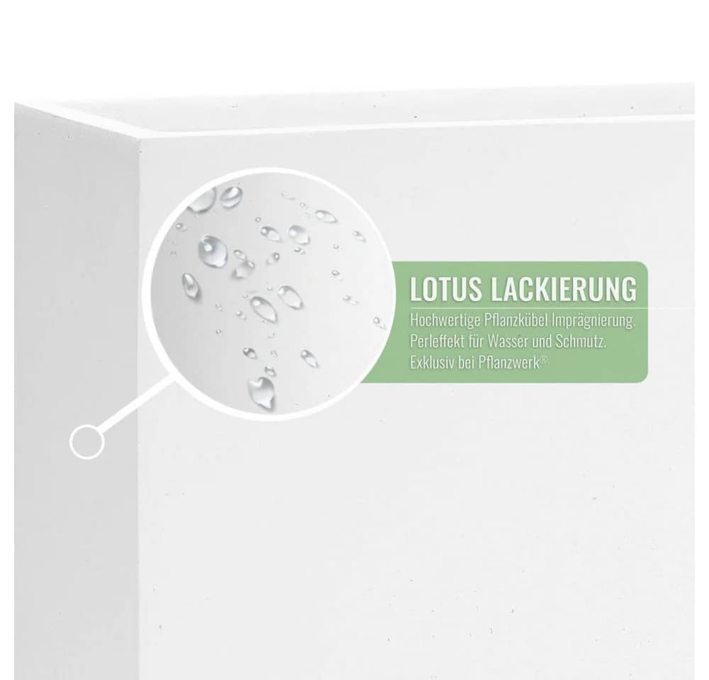 Pflanzwerk® Pflanzkübel CUBE Premium Fiberglas Blumenkübel Frostbeständig - Bild 4