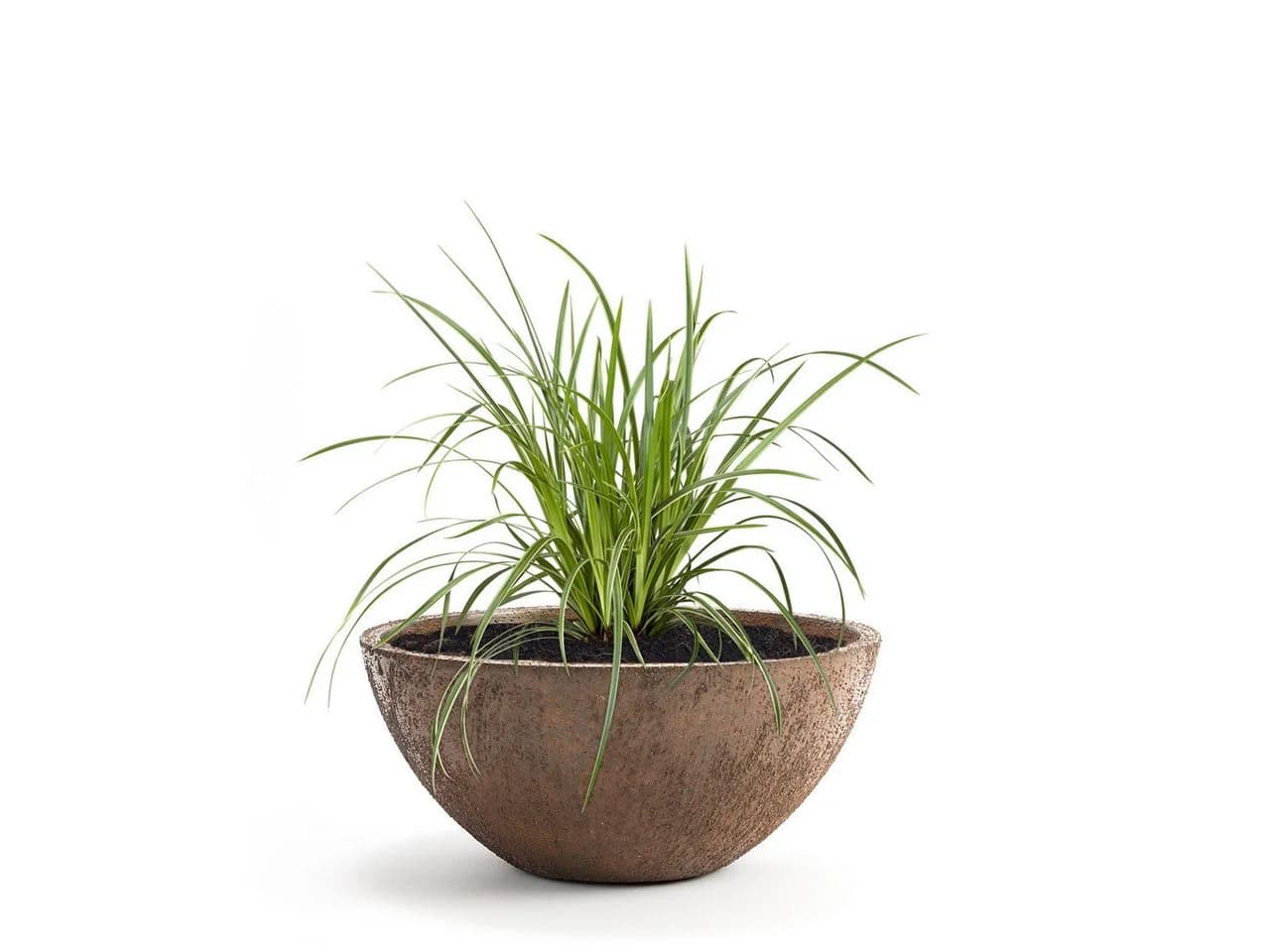 Pflanzwerk® BOWL Pflanzschale Fiberglas Frostbeständig - Bild 2
