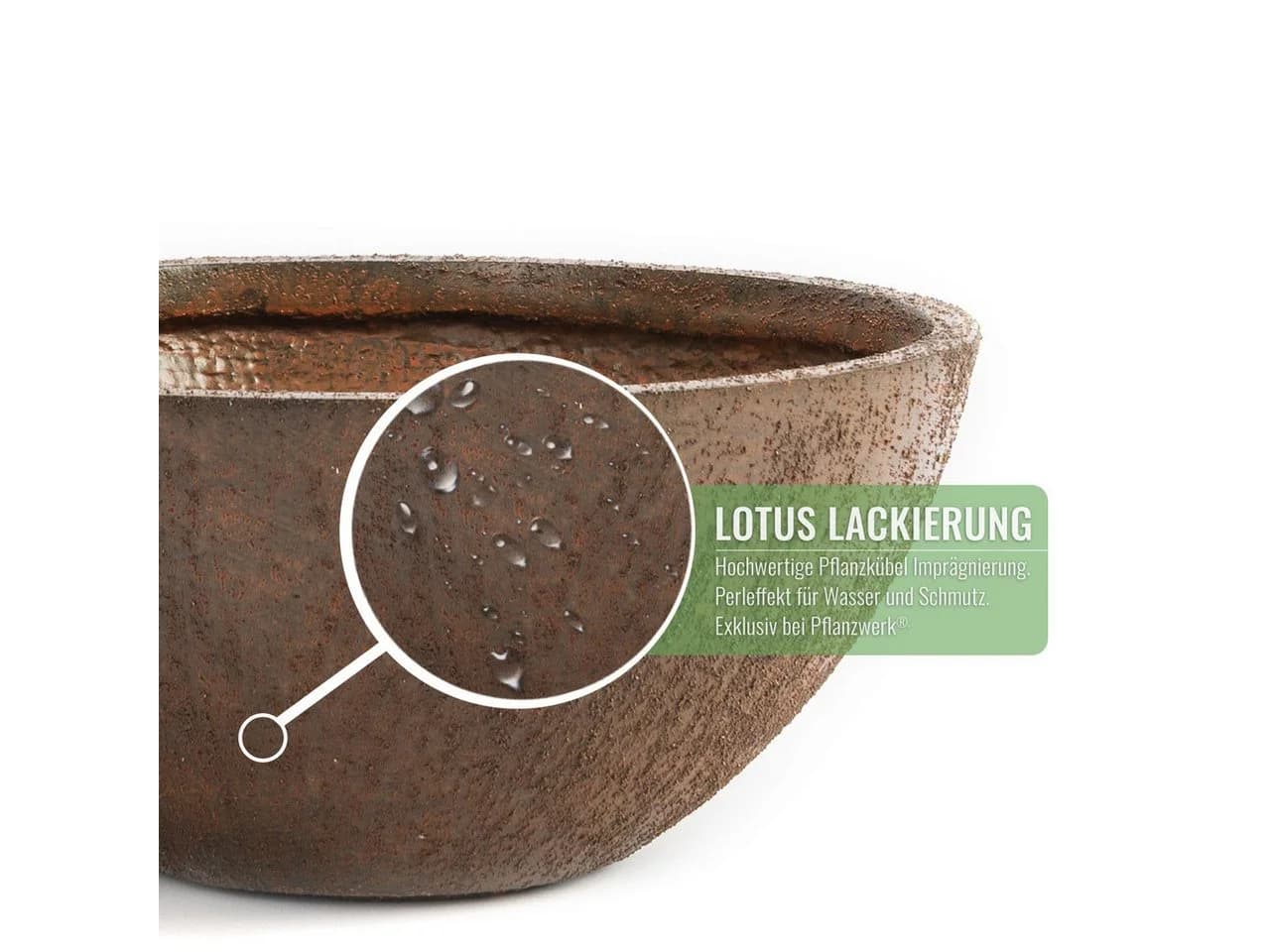 Pflanzwerk® BOWL Pflanzschale Fiberglas Frostbeständig - Bild 5