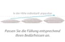 franknatur Kopfkissen Natalia 100% Schurwolle Baumwolle kbA Bild 1