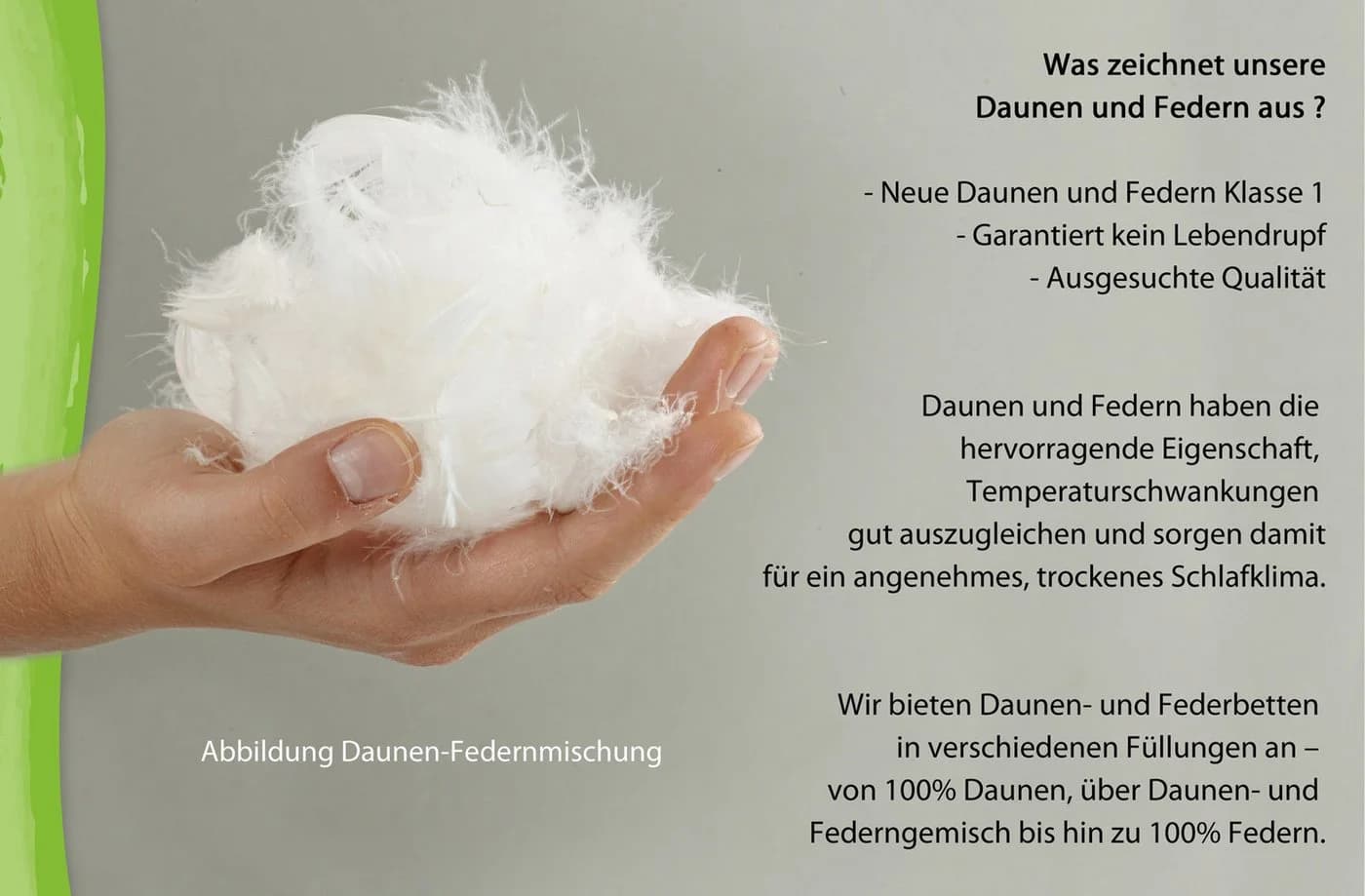 franknatur Federbettdecke Ballonbett 30% Daunen Weiss - Bild 5