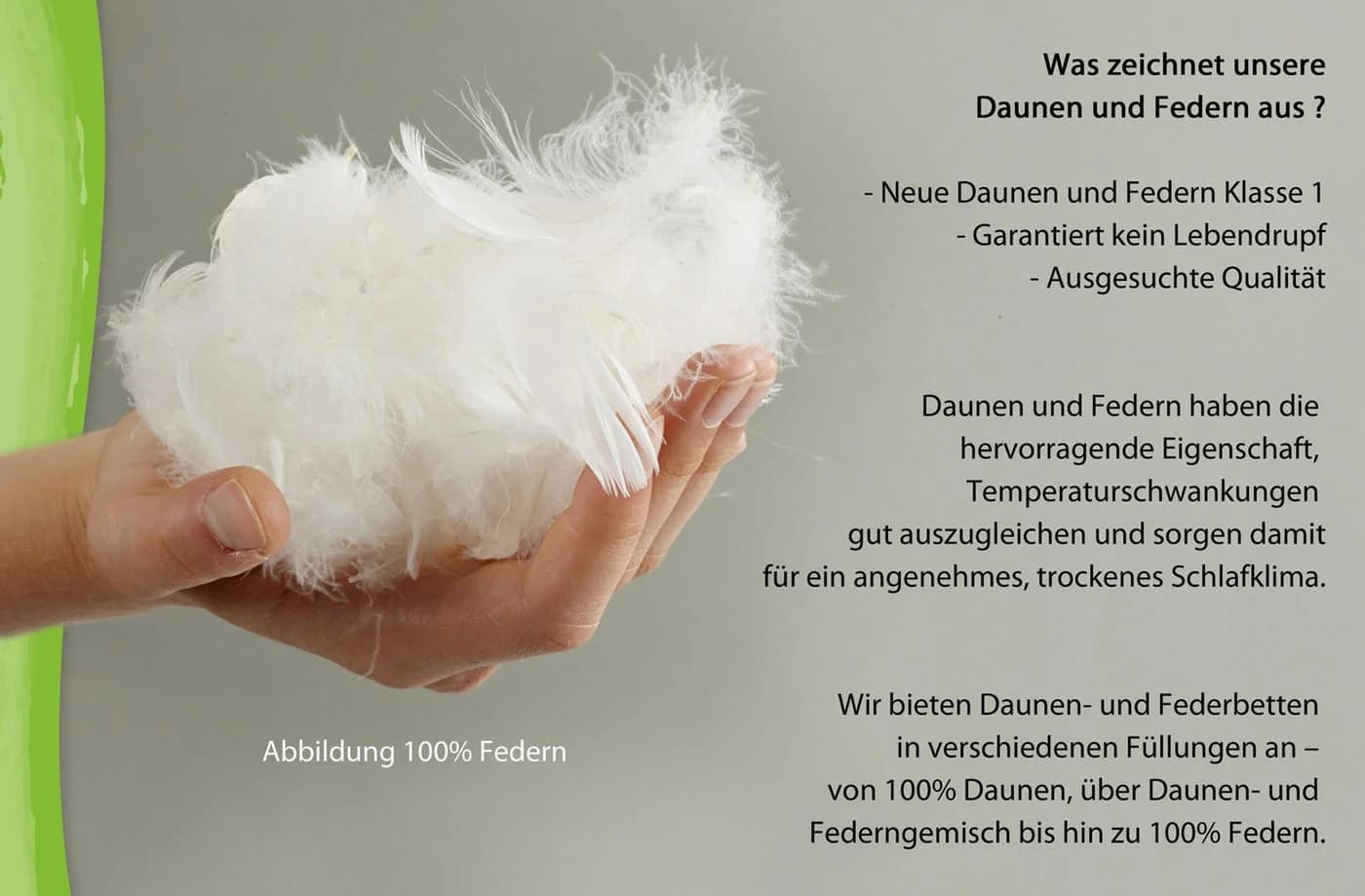 franknatur Federbettdecke Ballonbett 100% Federn 4kg - Bild 5