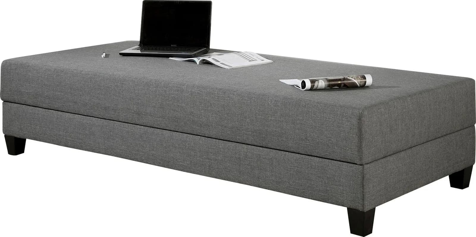Gästebett MAINTAL Grau Anthrazit mit Bettkasten und Matratze