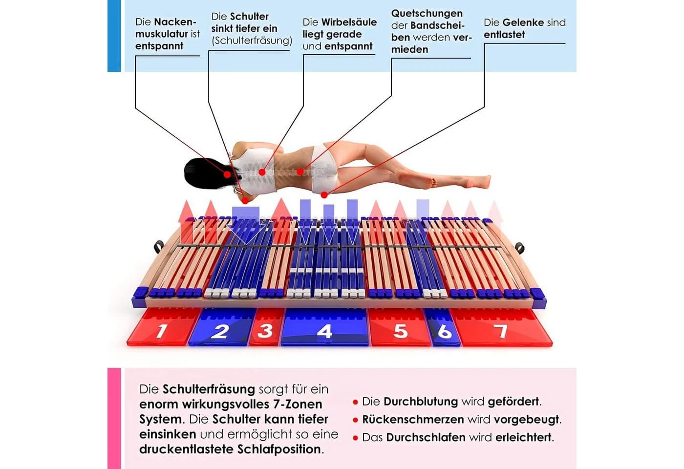Lattenrost Comfort 44® Fix Schlummerparadies 100% Buchenholz 10 Jahre Garantie - Bild 3