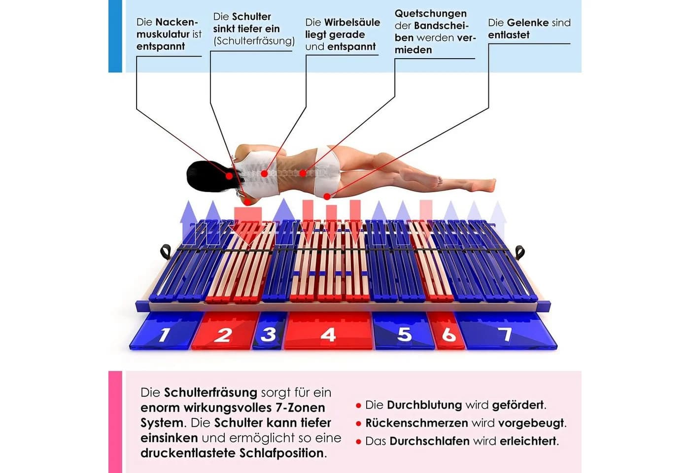 Lattenrost Sleep Best 42® Vario Plus Schlummerparadies Kopf- und Fußteil verstellbar 100% Buchenholz - Bild 4