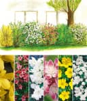 BALDUR Garten Hecken 5 Meter Blüh-Hecken-Kollektion 6 Pflanzen Blickdicht Winterhart Bild 1