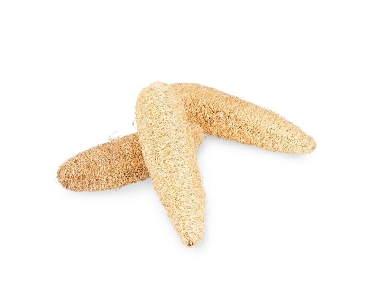 NaDeco Schwammgurke Geschält Luffa Naturmaterial Basteln - Bild 3