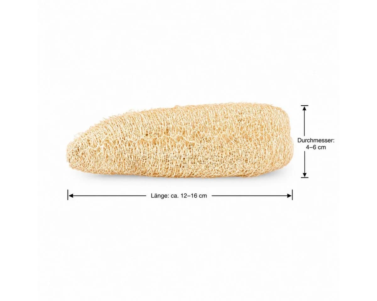 NaDeco Schwammgurke Geschält Luffa Naturmaterial Basteln - Bild 4