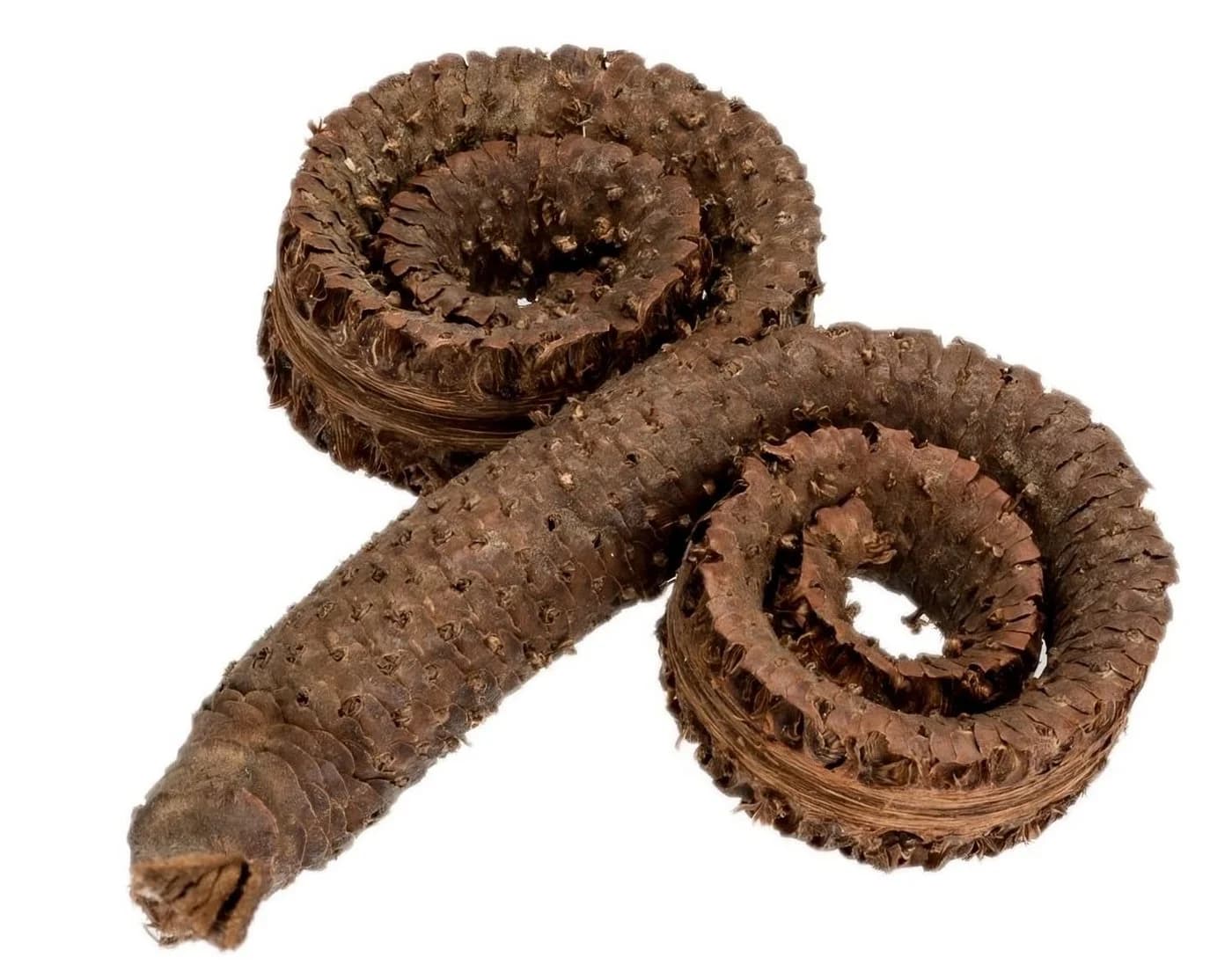NaDeco Palm Ring Natur, Größe ca. 10-12cm Borassus flabellifer