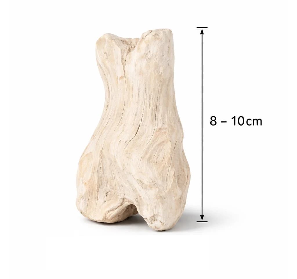 NaDeco Teak-Treibholz gebleicht 1kg, ca. 8–10 cm, Deko-Holz