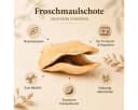 NaDeco Froschmaulschote Natur Jacaranda brasiliana Deko Bild 3