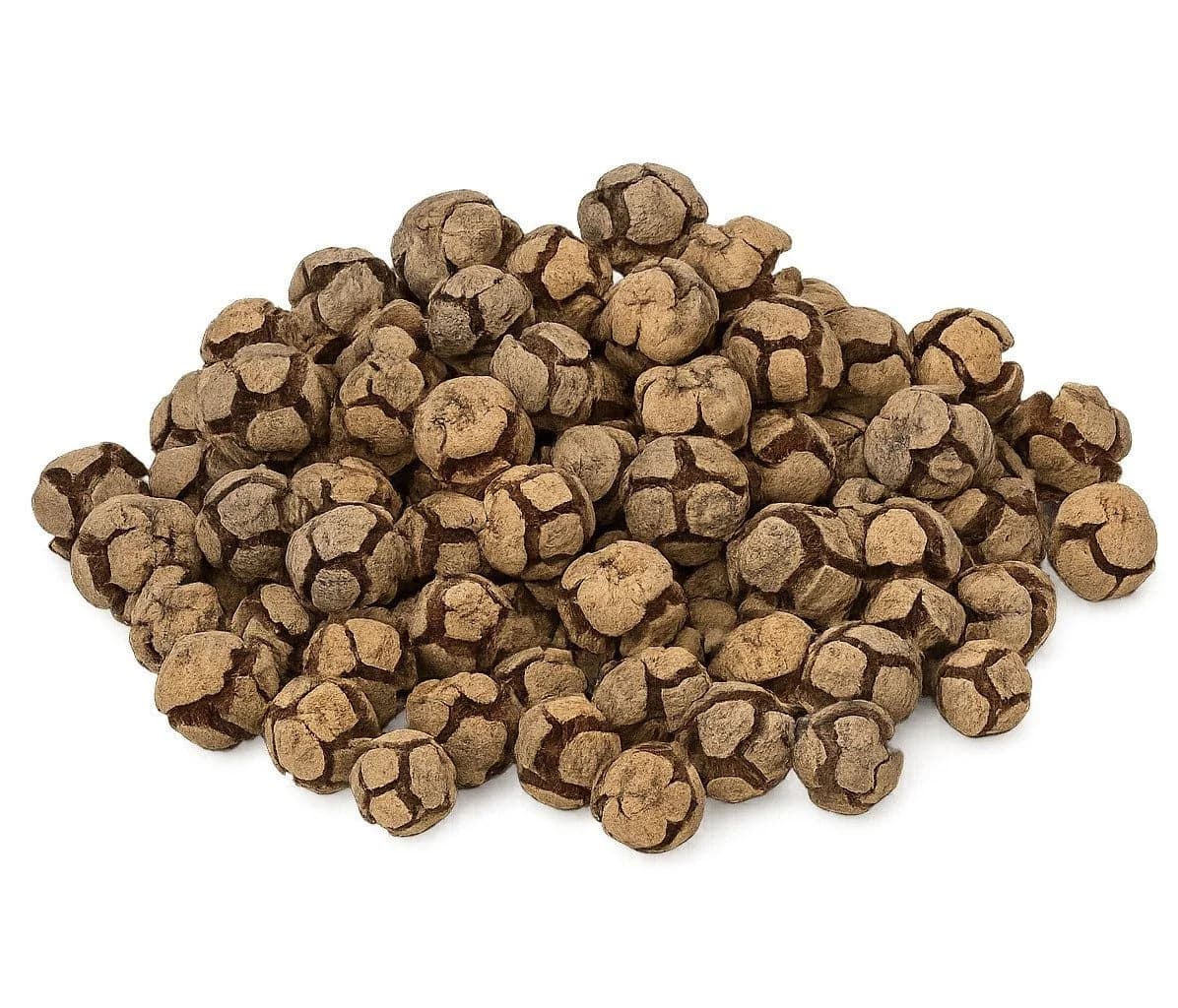 NaDeco Zypressenzapfen Natur 2-3 cm – ca. 80-100 Stück (0,5 kg) - Bild 2