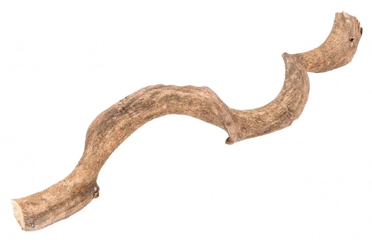 NaDeco Drachen Liane Natur 60cm Bastelnaturmaterial