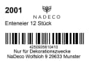 NaDeco Bastelnaturmaterial Enteneier Natur 12 Stück Bild 1