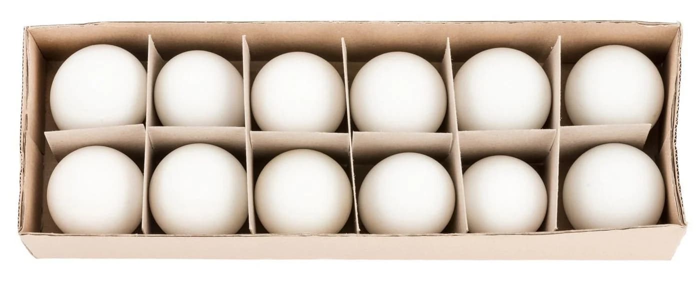 NaDeco Bastelnaturmaterial Enteneier Natur 12 Stück - Bild 2