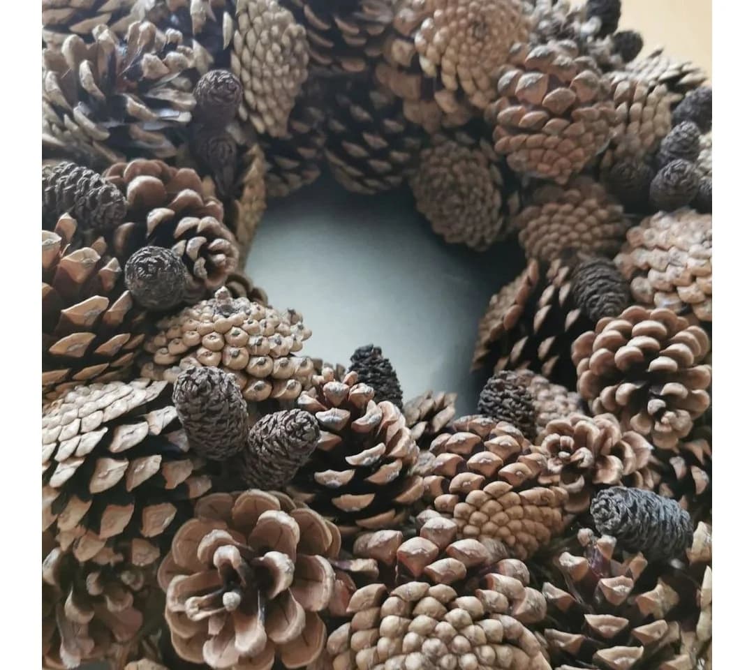 NaDeco Tannenzapfen 5-6cm 1kg 50 Stück Pinus nigra