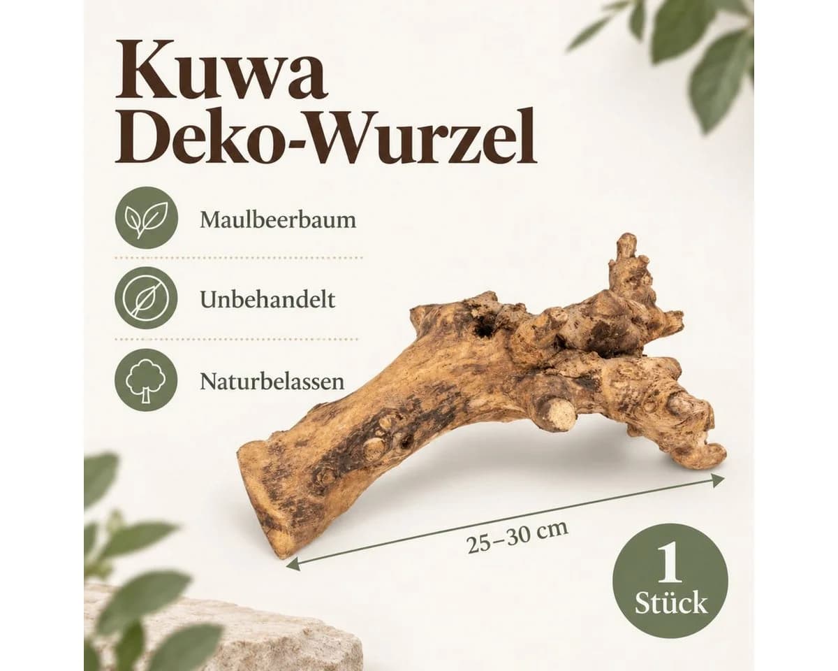 NaDeco Kuwa Deko-Wurzel aus unbehandeltem Maulbeerbaumholz