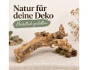 NaDeco Kuwa Deko-Wurzel aus unbehandeltem Maulbeerbaumholz Bild 3