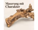NaDeco Kuwa Deko-Wurzel aus unbehandeltem Maulbeerbaumholz Bild 5