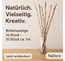 NaDeco Birkenzweige im Bund 10 Stück 1m Bild 3