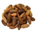 NaDeco Fichtenzapfen Natur 1kg Bastelnaturmaterial Picea Abies Bild 2