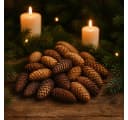 NaDeco Fichtenzapfen Natur 1kg Bastelnaturmaterial Picea Abies Bild 3