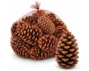 NaDeco Maritima Zapfen 14-18 cm, 20 Stück, Natur Braun Bild 2