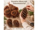 NaDeco Maritima Zapfen 14-18 cm, 20 Stück, Natur Braun Bild 4
