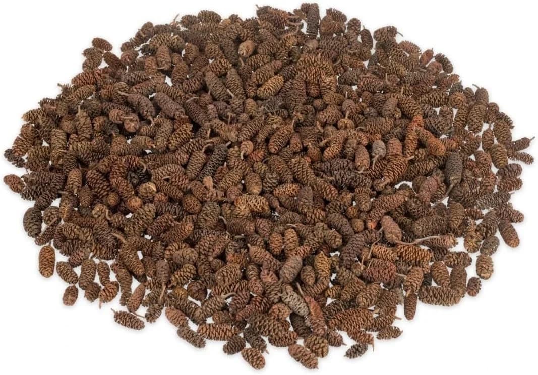 NaDeco Erlen-Zapfen Natur Schwarz-Braun Bastelnaturmaterial 250g - Bild 2