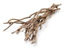 NaDeco Tee Busch Zweige Natur Deko ca. 50cm Bastelmaterial Bild 1