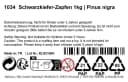 NaDeco Naturmaterial Schwarzkiefer-Zapfen 1kg Pinus nigra Bild 3