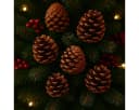 NaDeco Naturmaterial Schwarzkiefer-Zapfen 1kg Pinus nigra Bild 5