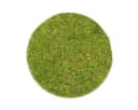 NaDeco Moosplatte Rund 25cm Grün Bastelnaturmaterial Bild 2