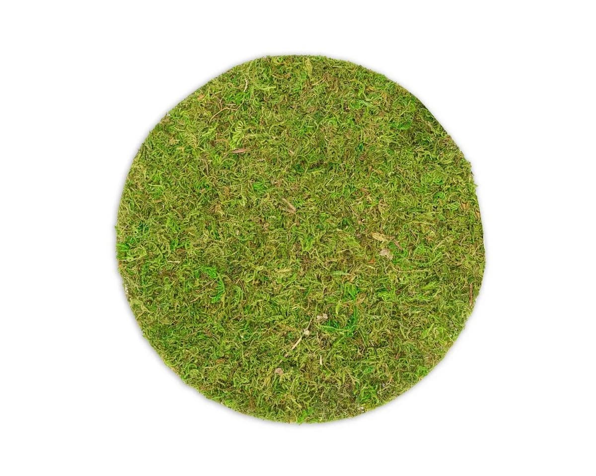NaDeco Moosplatte Rund 25cm Grün Bastelnaturmaterial - Bild 2