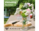 NaDeco Dekovase Glasflaschen 32 Stück 10,5 x 4,8cm Bild 1