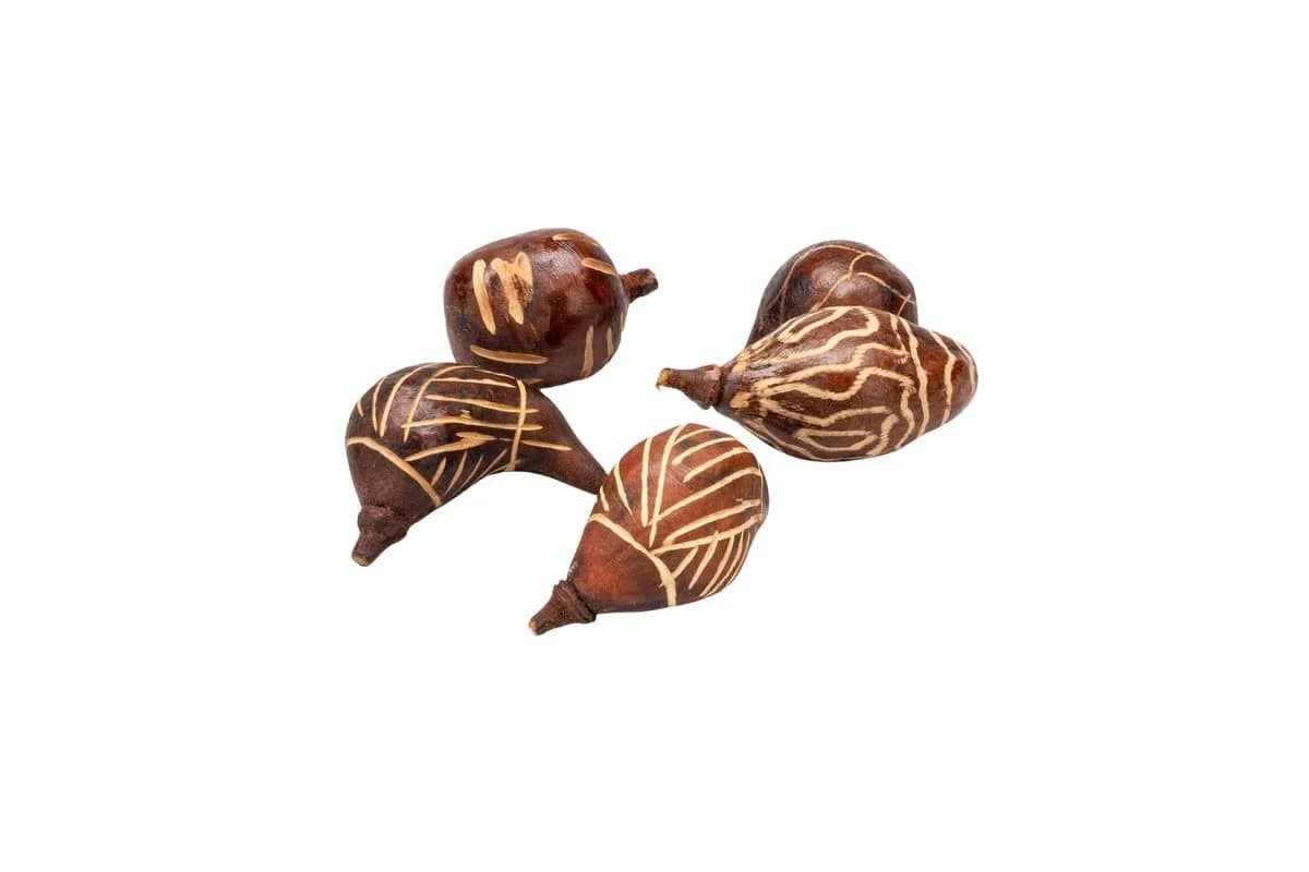 NaDeco Baobab 'Mini' Deko-Frucht Braun 5-10 cm 5 Stück