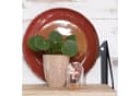 NaDeco Glasdom Mini mit Korksockel Transparent Braun Bild 4