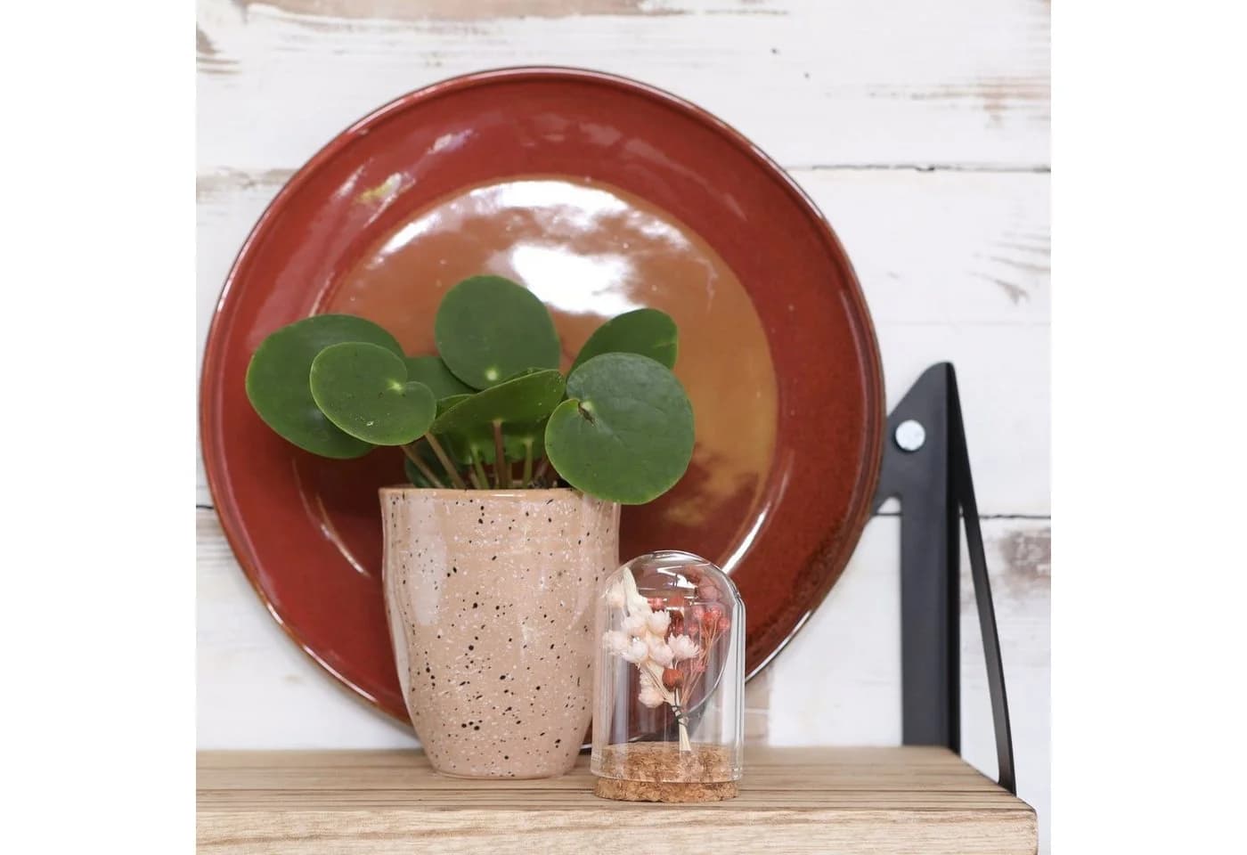 NaDeco Glasdom Mini mit Korksockel Transparent Braun - Bild 4