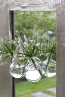 NaDeco Dekovase Kugelvase Glas 57mm 5 Stück Transparent Bild 5