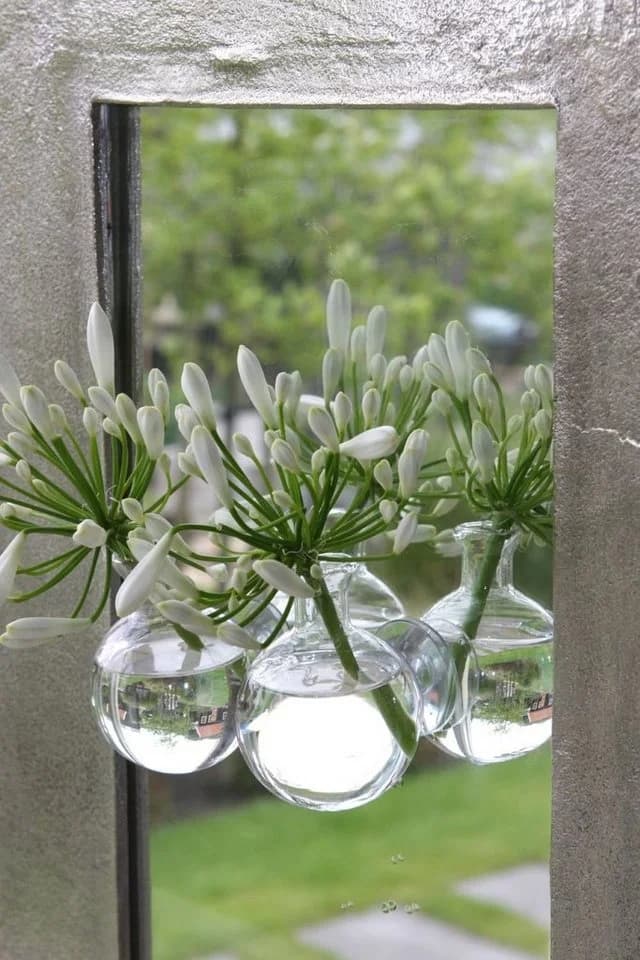NaDeco Dekovase Kugelvase Glas 57mm 5 Stück Transparent - Bild 5