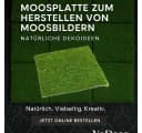 NaDeco Moosplatte Quadratisch 38x38cm Moosbild Bastelnaturmaterial Bild 1