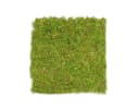 NaDeco Moosplatte Quadratisch 38x38cm Moosbild Bastelnaturmaterial Bild 2