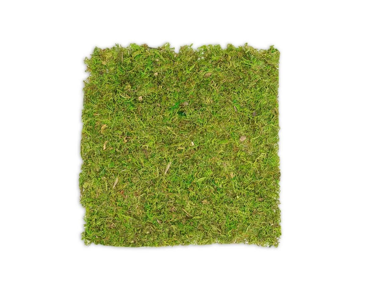 NaDeco Moosplatte Quadratisch 38x38cm Moosbild Bastelnaturmaterial - Bild 2